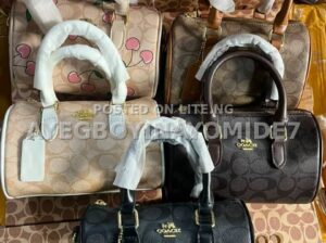 Stylish ladies handbag