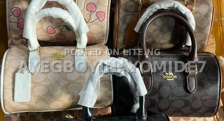 Stylish ladies handbag