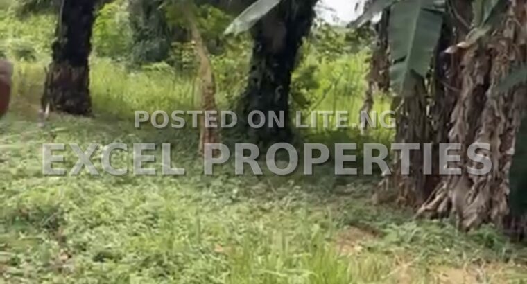 2 Plots of Land